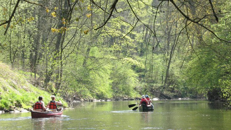 Mutter, Vater und zwei Kinder fahren Kanu auf einem Fluss
