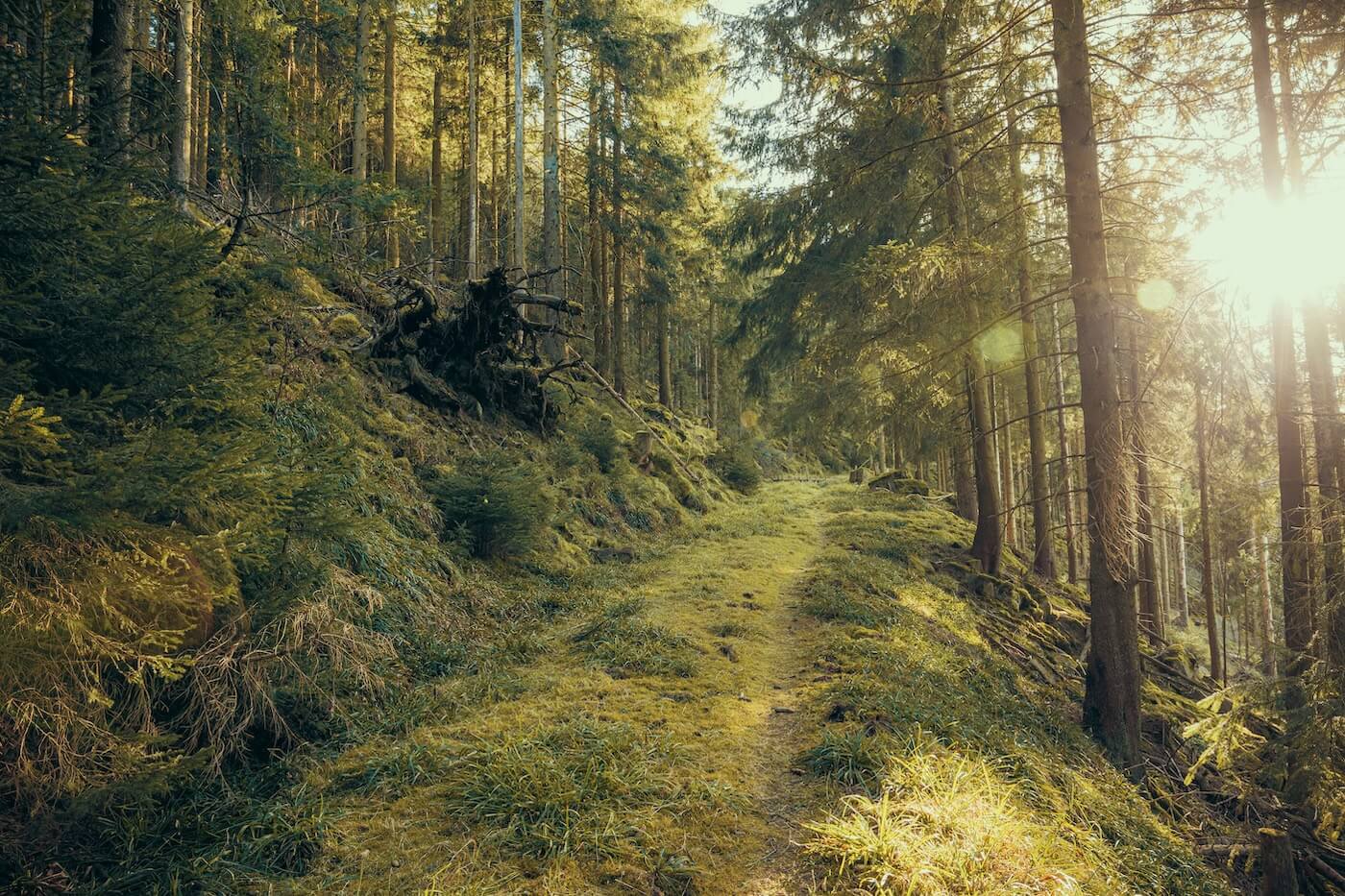 ot-design-QKc9AJRduac-unsplash-2