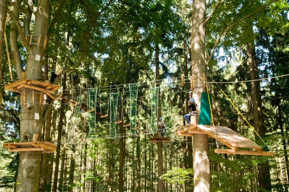 c9a31a6d3b61b26gfd69356f3d5c12c8@2x